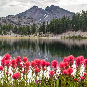 Meet your Posher, Darla